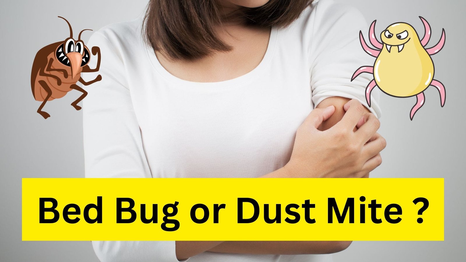 body itch causes bed bug or dust mite