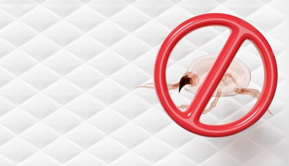 kill dust mites instantly