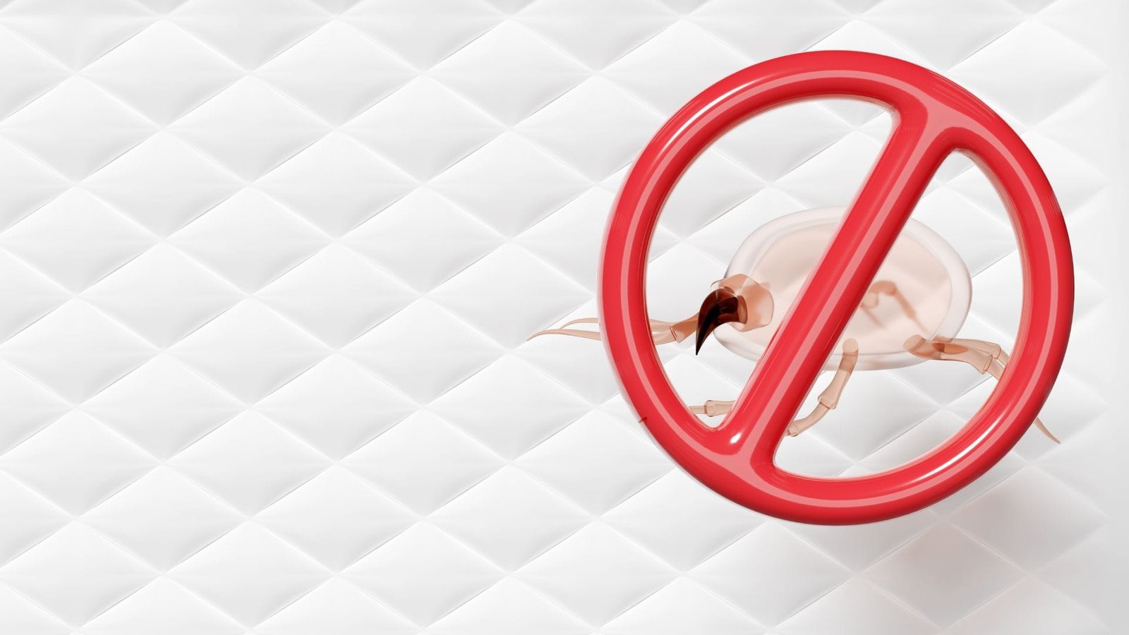 kill dust mites instantly